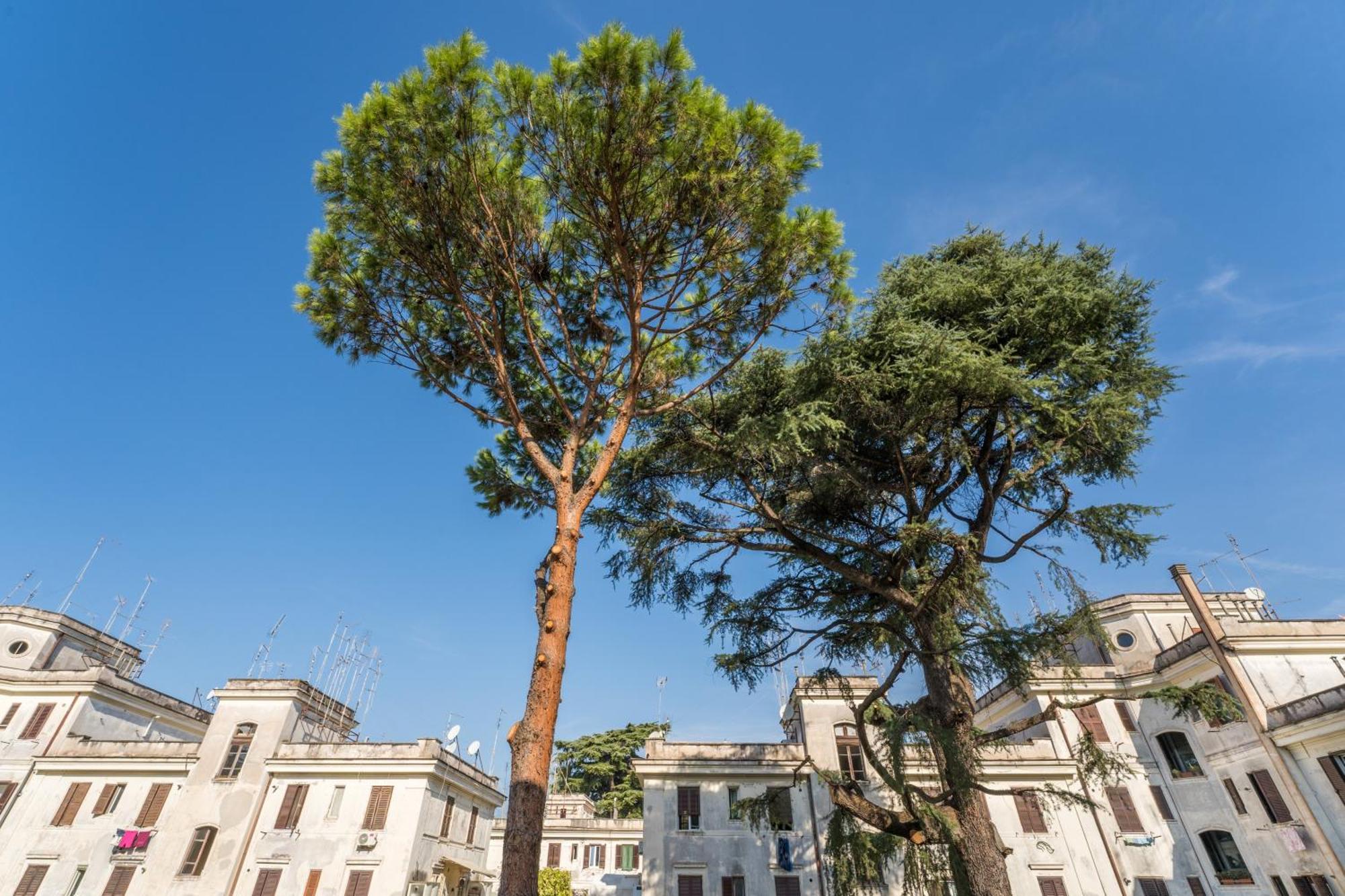 Fisher'S Apartment In Testaccio Rom Exterior foto